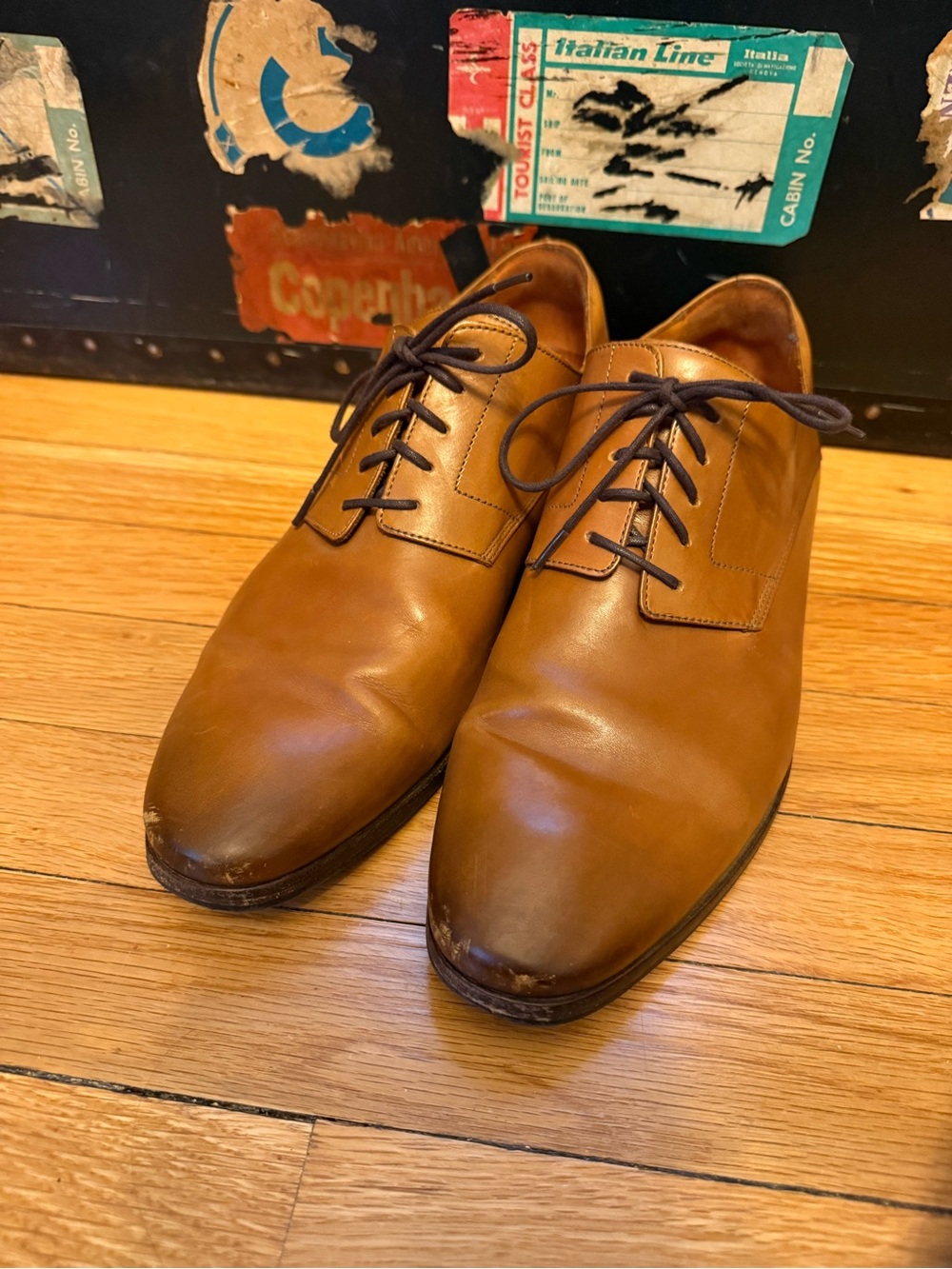 Wolf & Shepherd Classic Tan Leather Derby Shoes